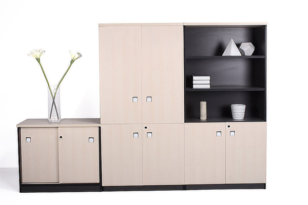 南京鋼制文件柜廠家教你鋼制文件柜如何選，尺寸及價格一般多少